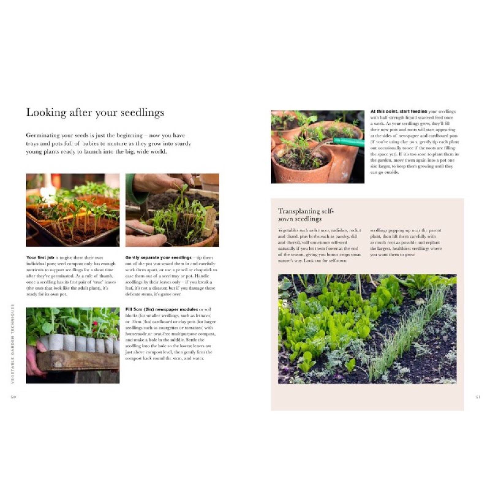 RHS Greener Gardening: Vegetables - Hardback Book thumbnails