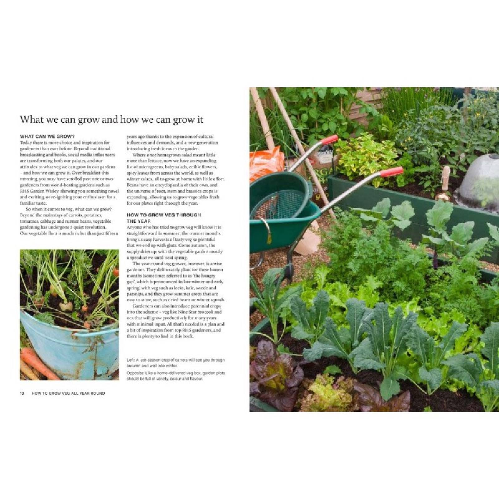 RHS Grow Your Own Veg through The Year - Hardback Book thumbnails