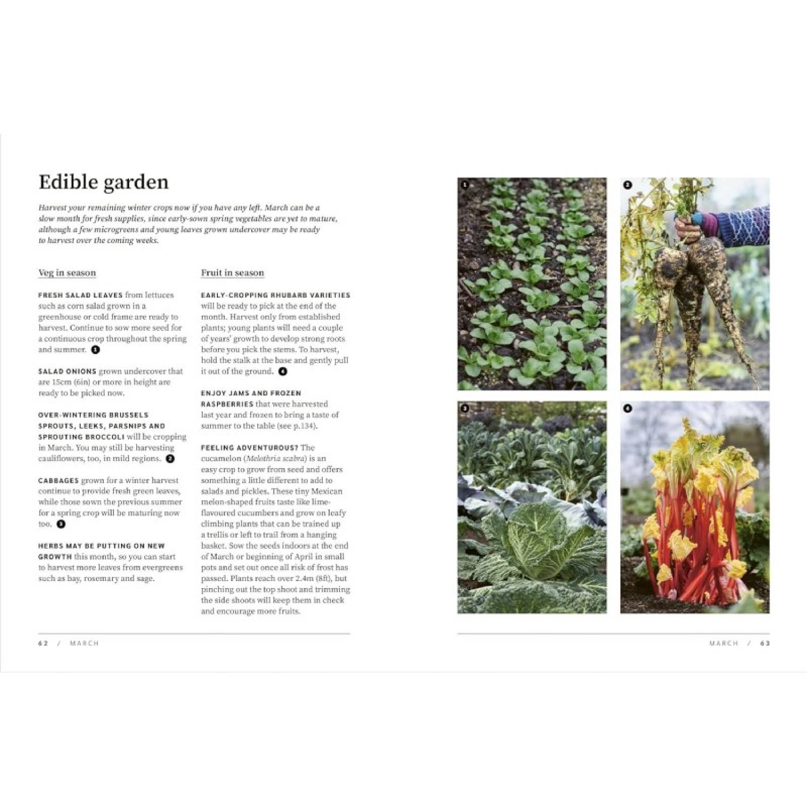 RHS The Garden Almanac 2025 - Hardback Book thumbnails