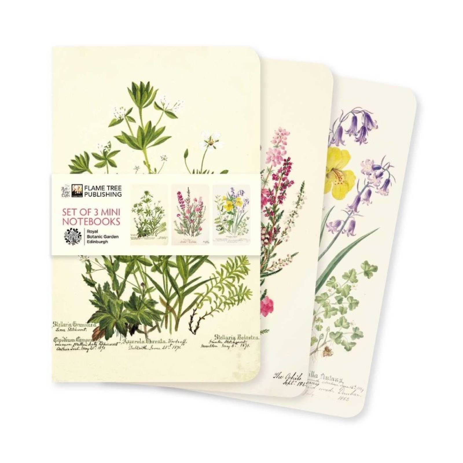 Royal Botanic Garden Edinburgh - Set Of 3 Mini Notebooks