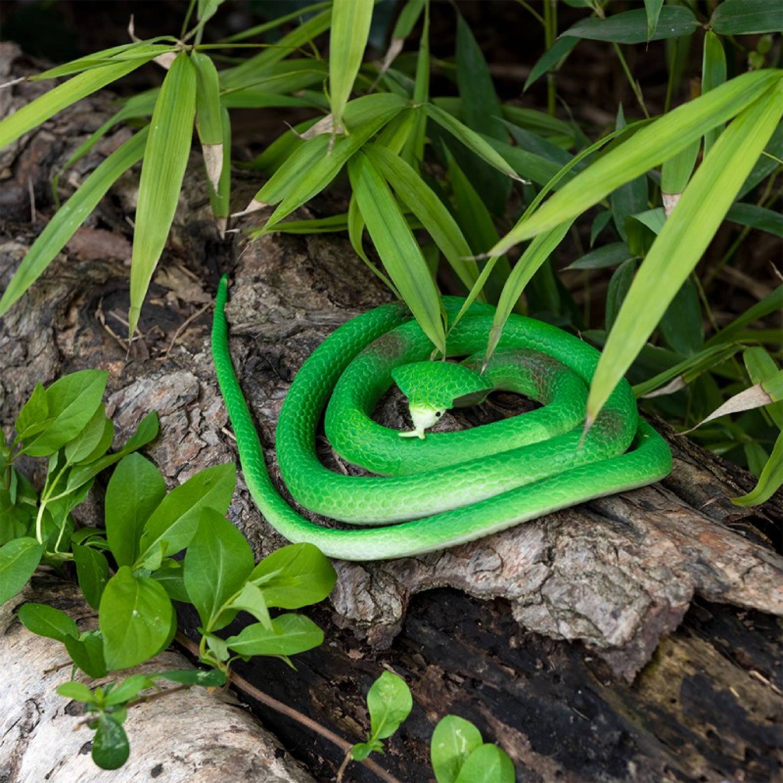 Rubber Cobra Snake Toy 3+ thumbnails