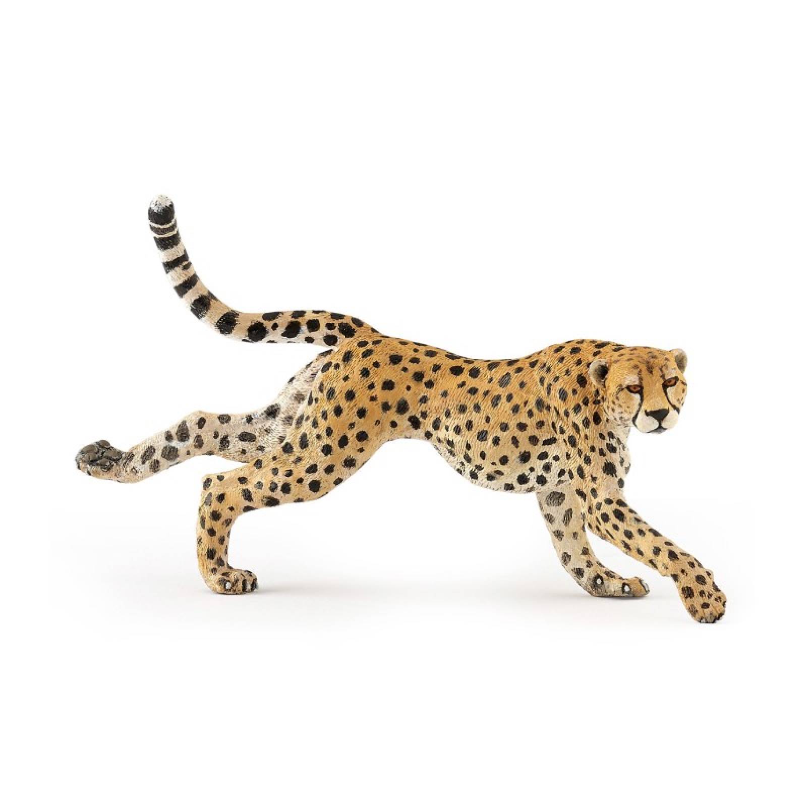 Running Cheetah - Papo Wild Animal Figure