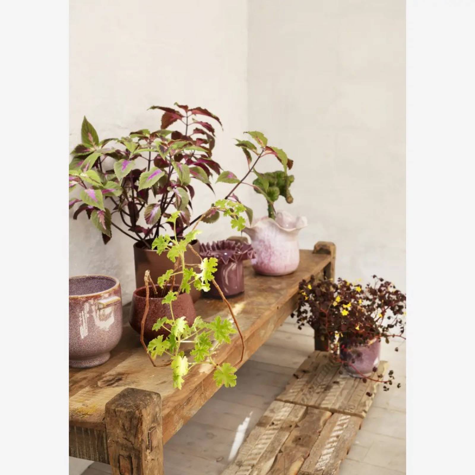Rustic Reclaimed Wooden Bench Table 135x40x43cm thumbnails