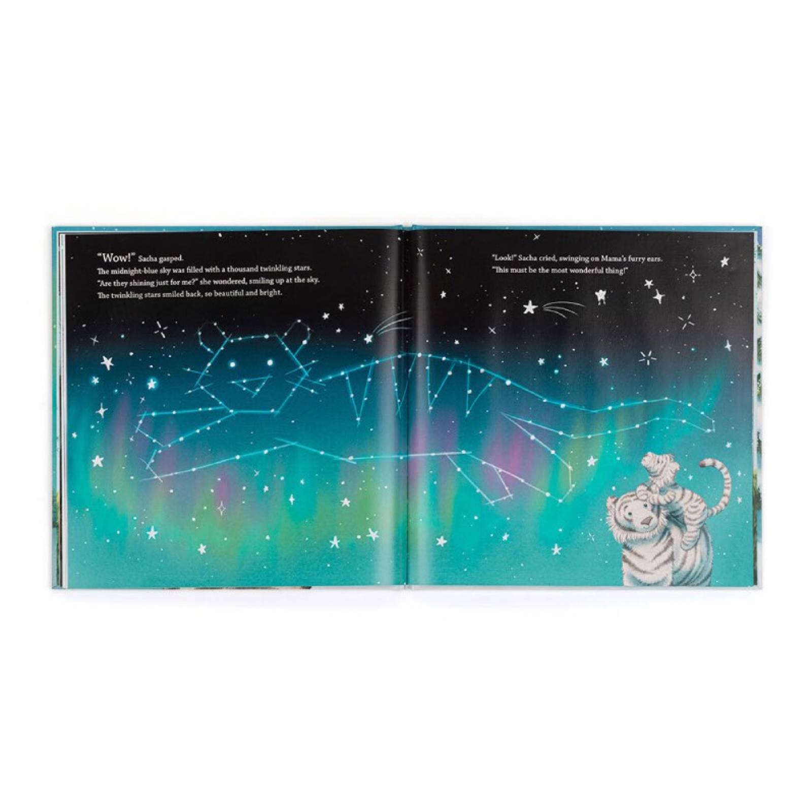 Sacha and the Most Wonderful Thing - Book By Jellycat thumbnails