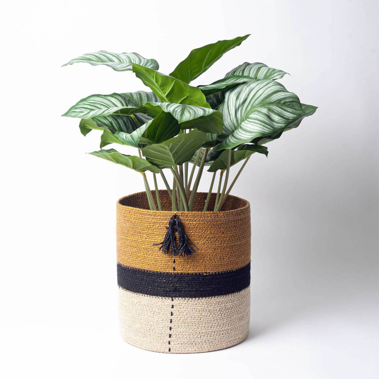 Seagrass Basket With Stripes And Tassle thumbnails