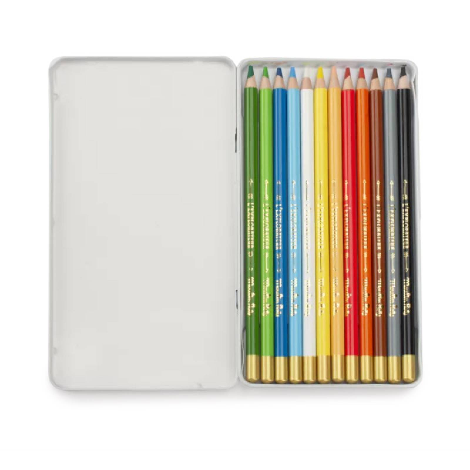 Set Of 12 Explorer's Colouring Pencils In Tin By Moulin Roty 3+ thumbnails