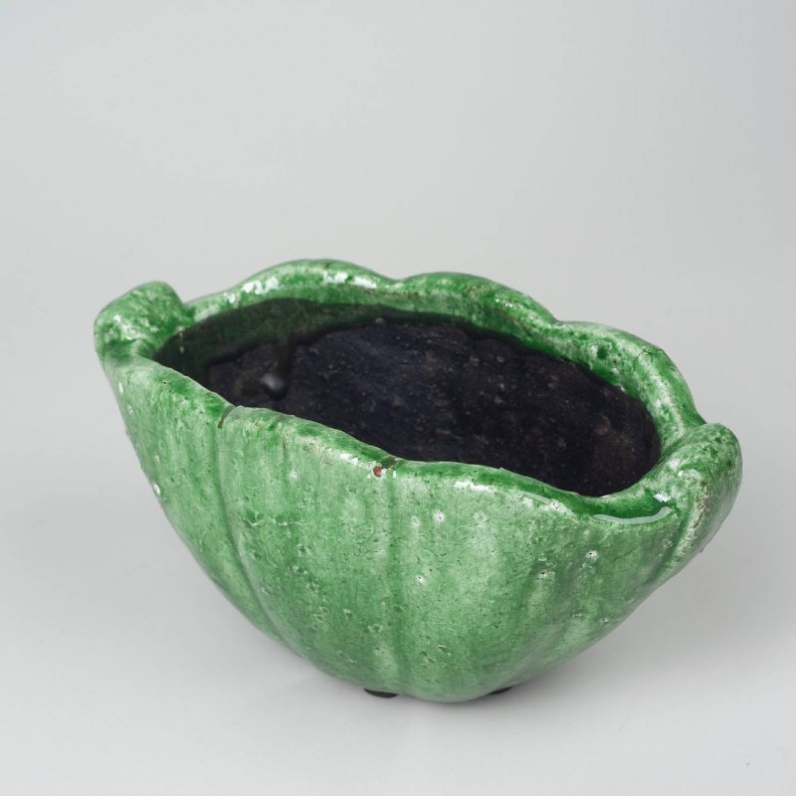 Shell Shaped Plant Pot In Dark Green Crackle Glaze thumbnails