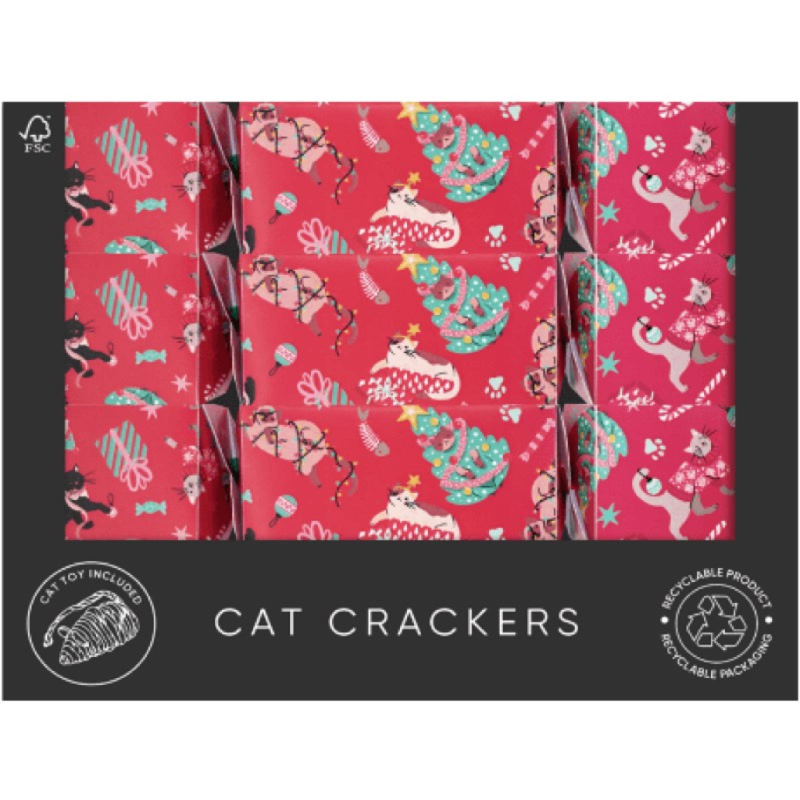 Single Cat Craft Christmas Cracker