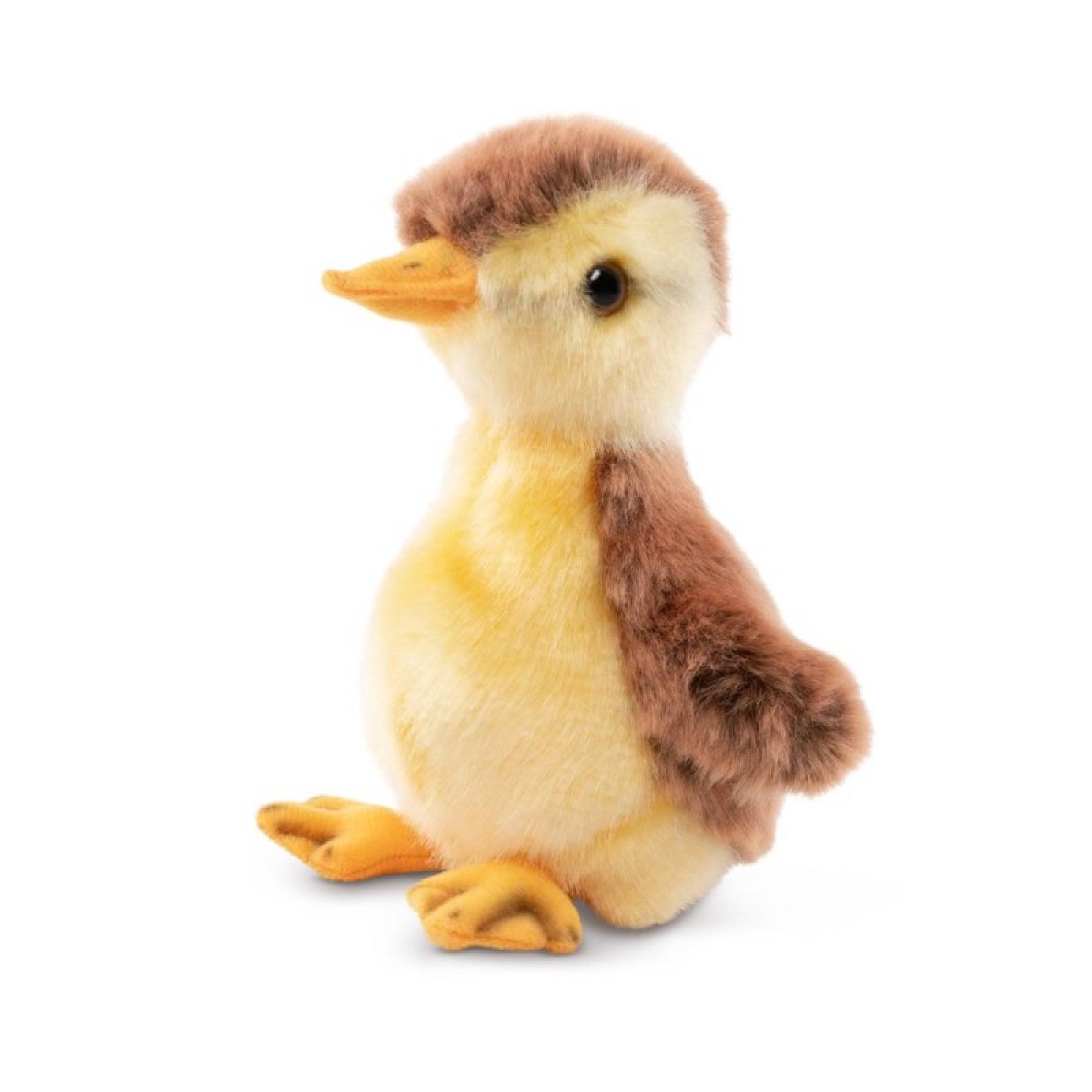 Small Mallard Duckling Soft Toy 0+