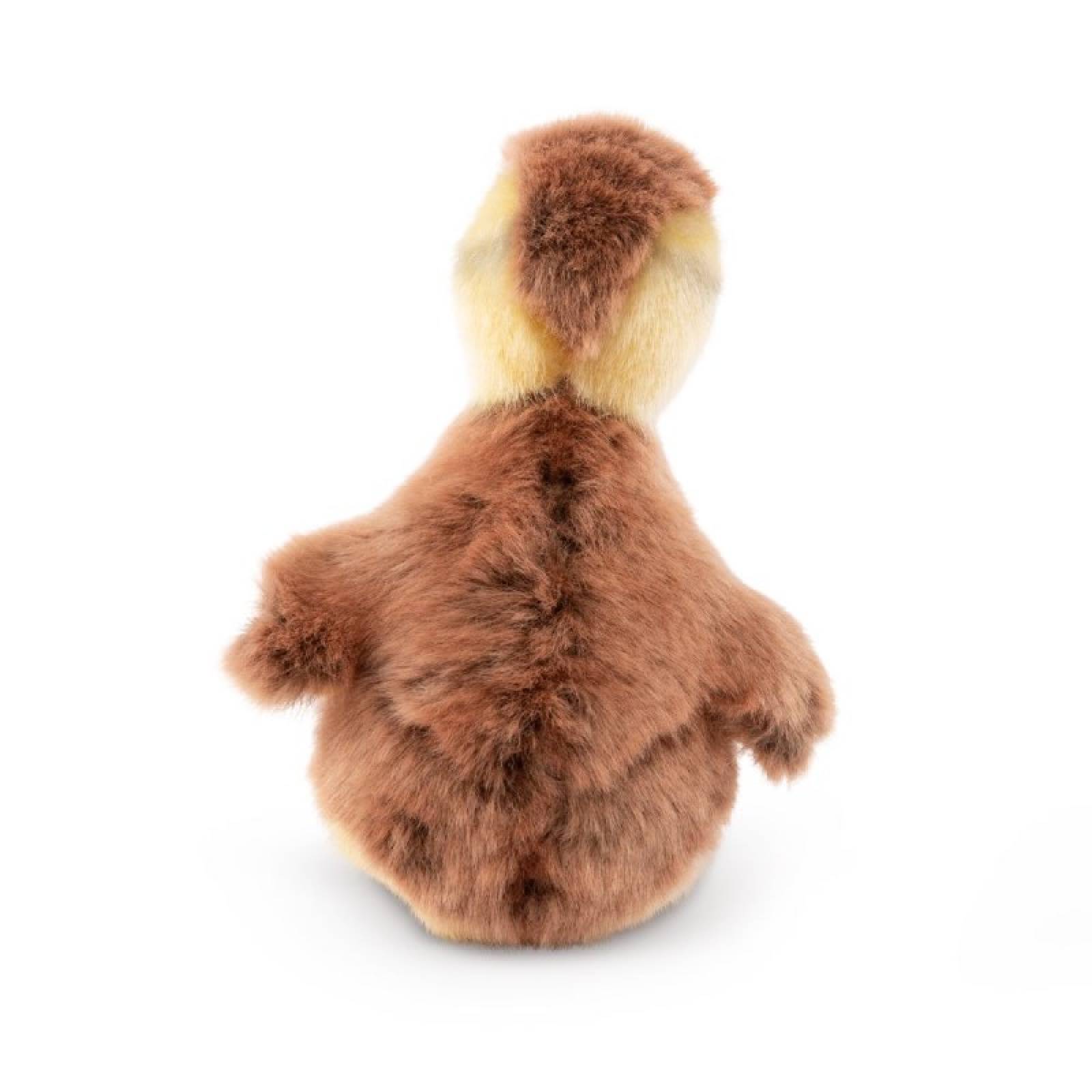 Small Mallard Duckling Soft Toy 0+ thumbnails