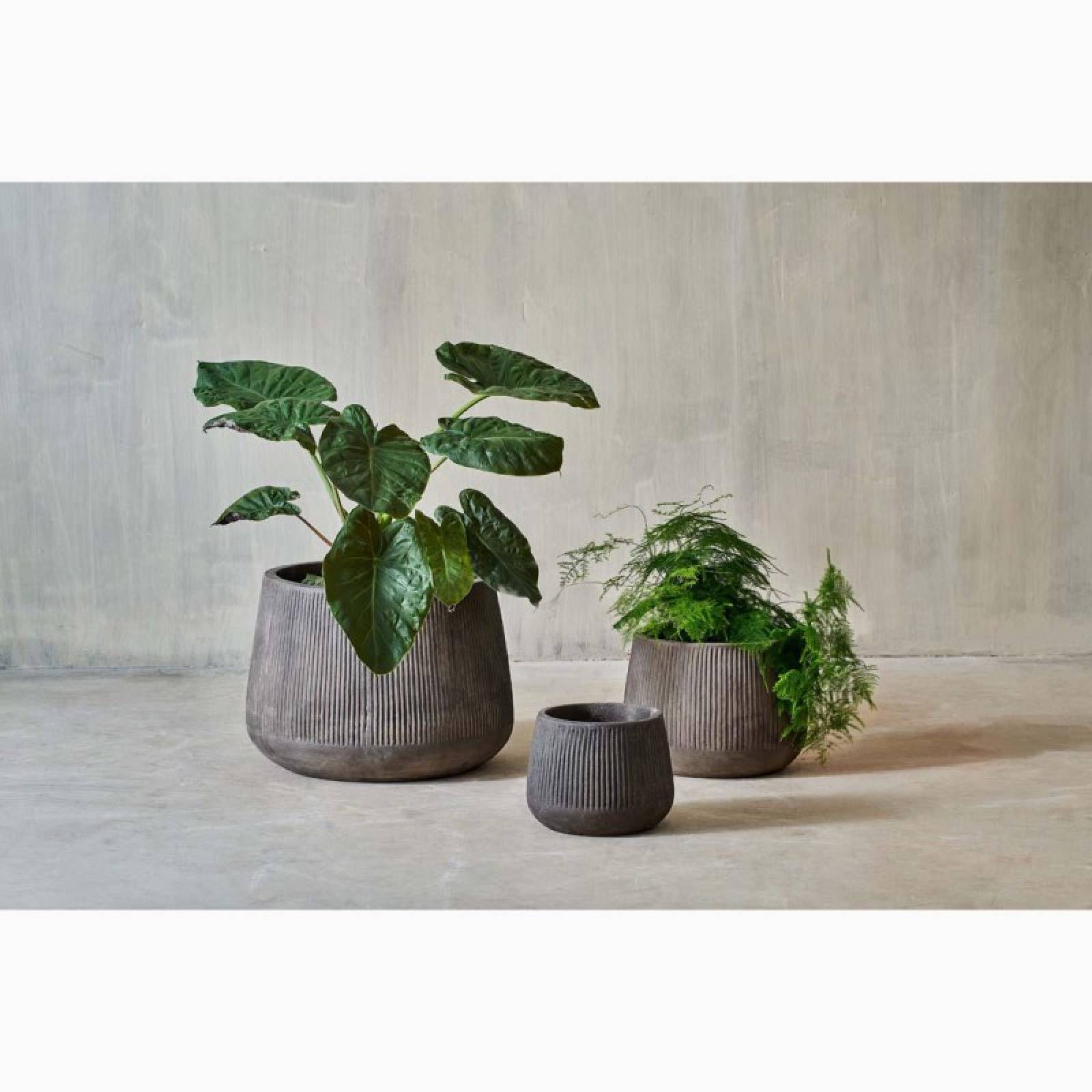 Medium Wide Planter In Distressed Brown H: 20cm thumbnails