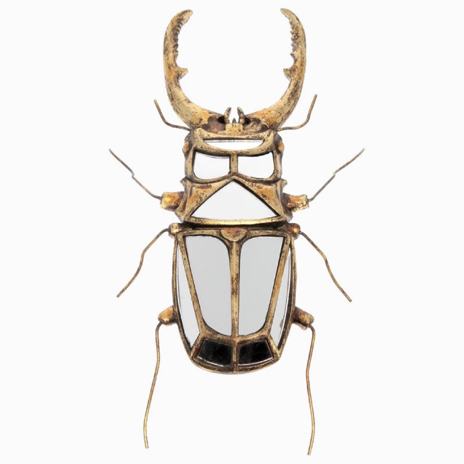 Stag Beetle Mirrored Wall Decoration