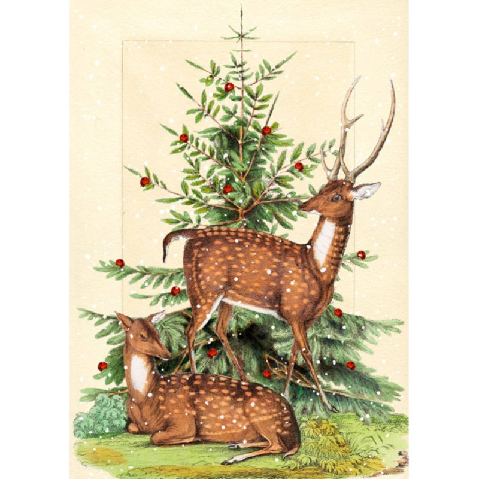 Stag & Deer - Single Christmas Card