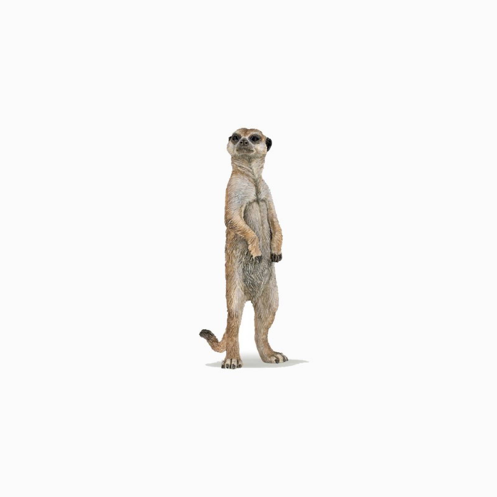 Standing Meerkat - Papo Wild Animal Figure