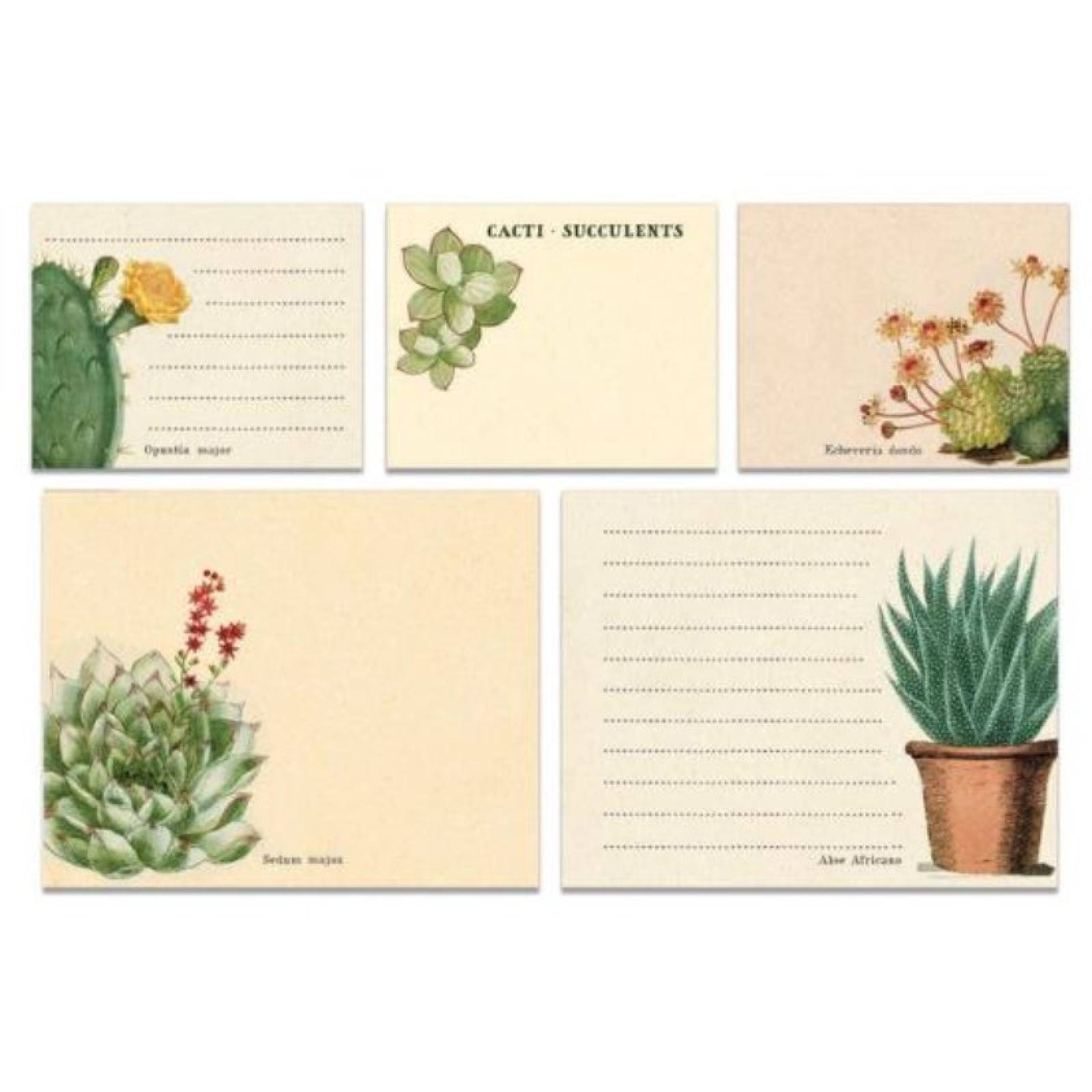 Succulents - Set Of Sticky Notes In Tin thumbnails