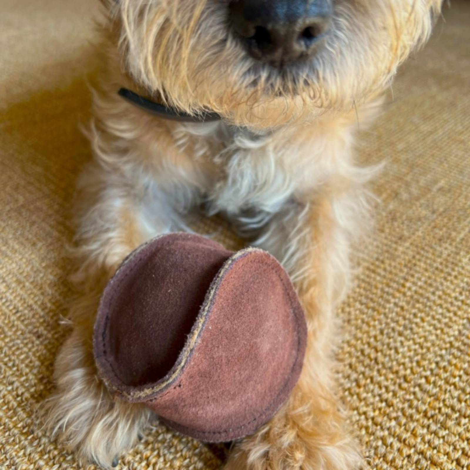 Suede Ball Dog Toy In Brown thumbnails