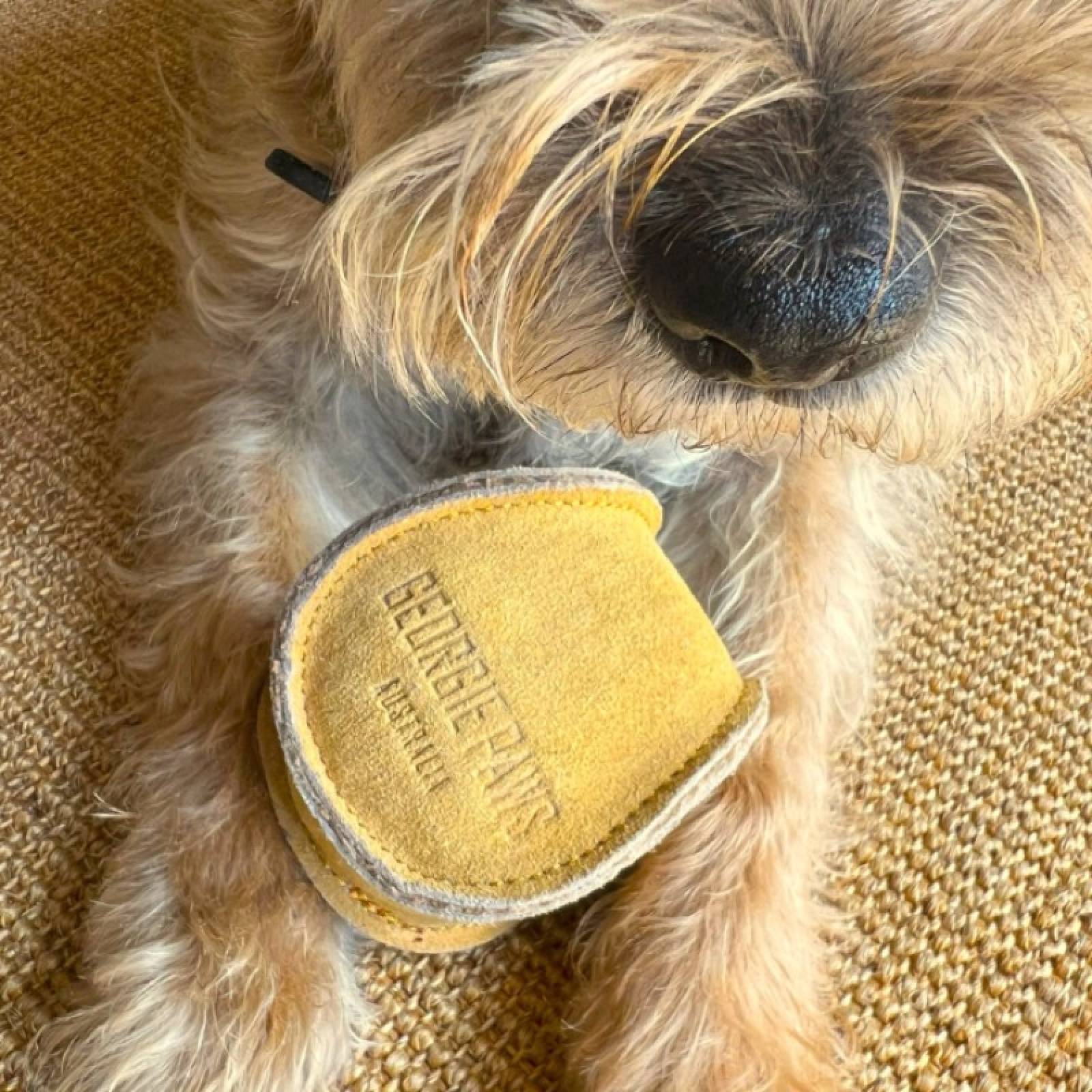 Suede Ball Dog Toy In Gold thumbnails