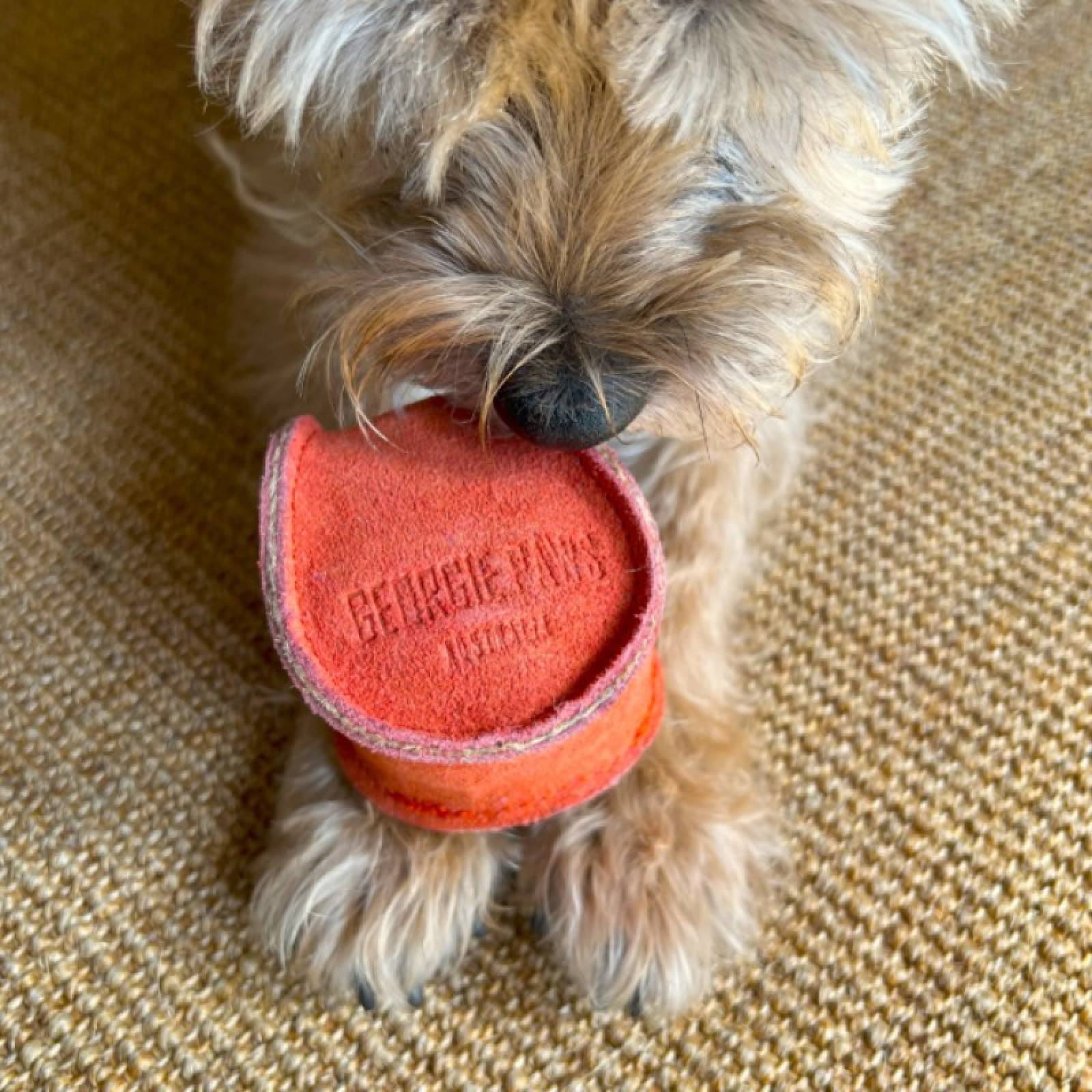 Suede Ball Dog Toy In Ochre thumbnails