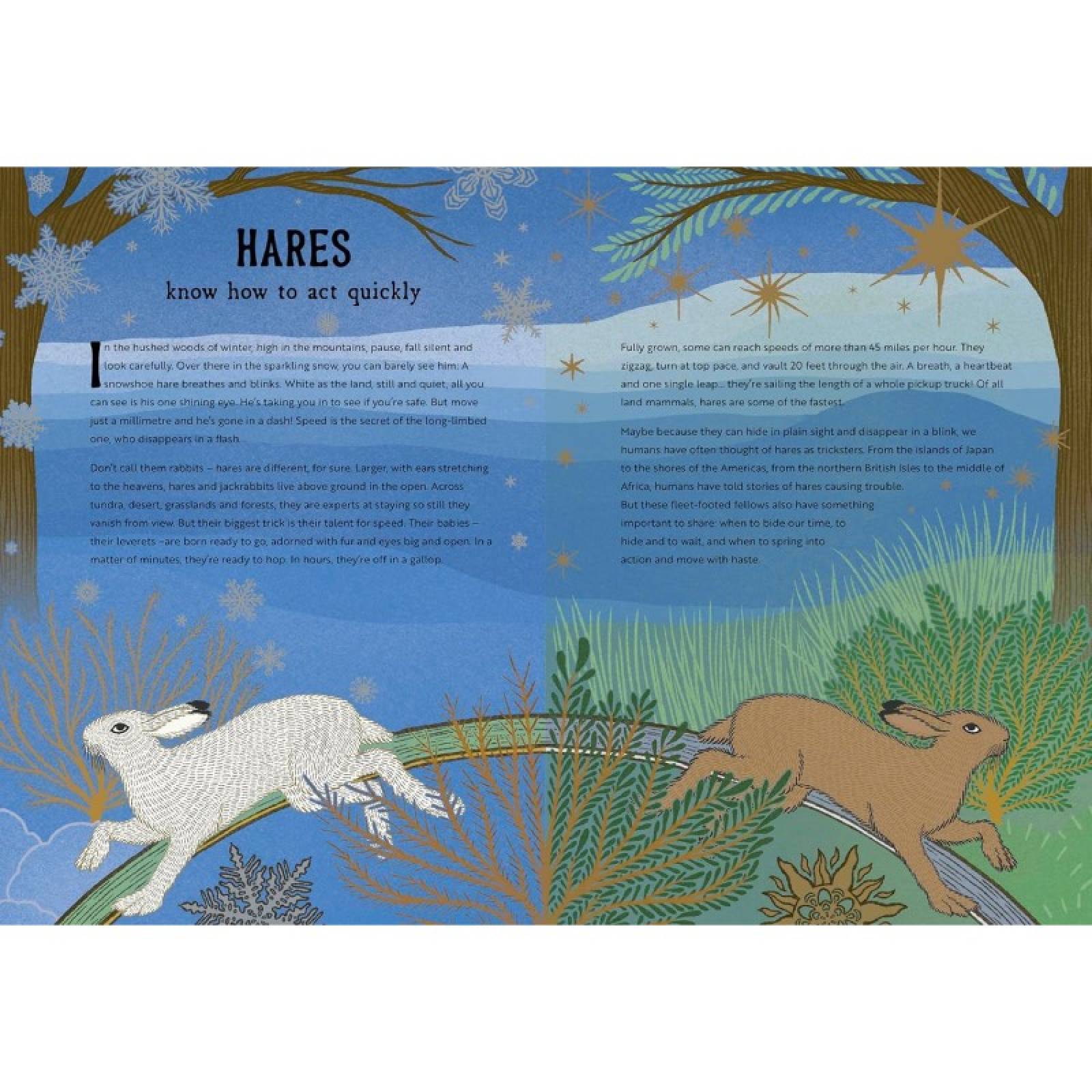 The Hidden Wisdom Of Animals - Hardback Book thumbnails