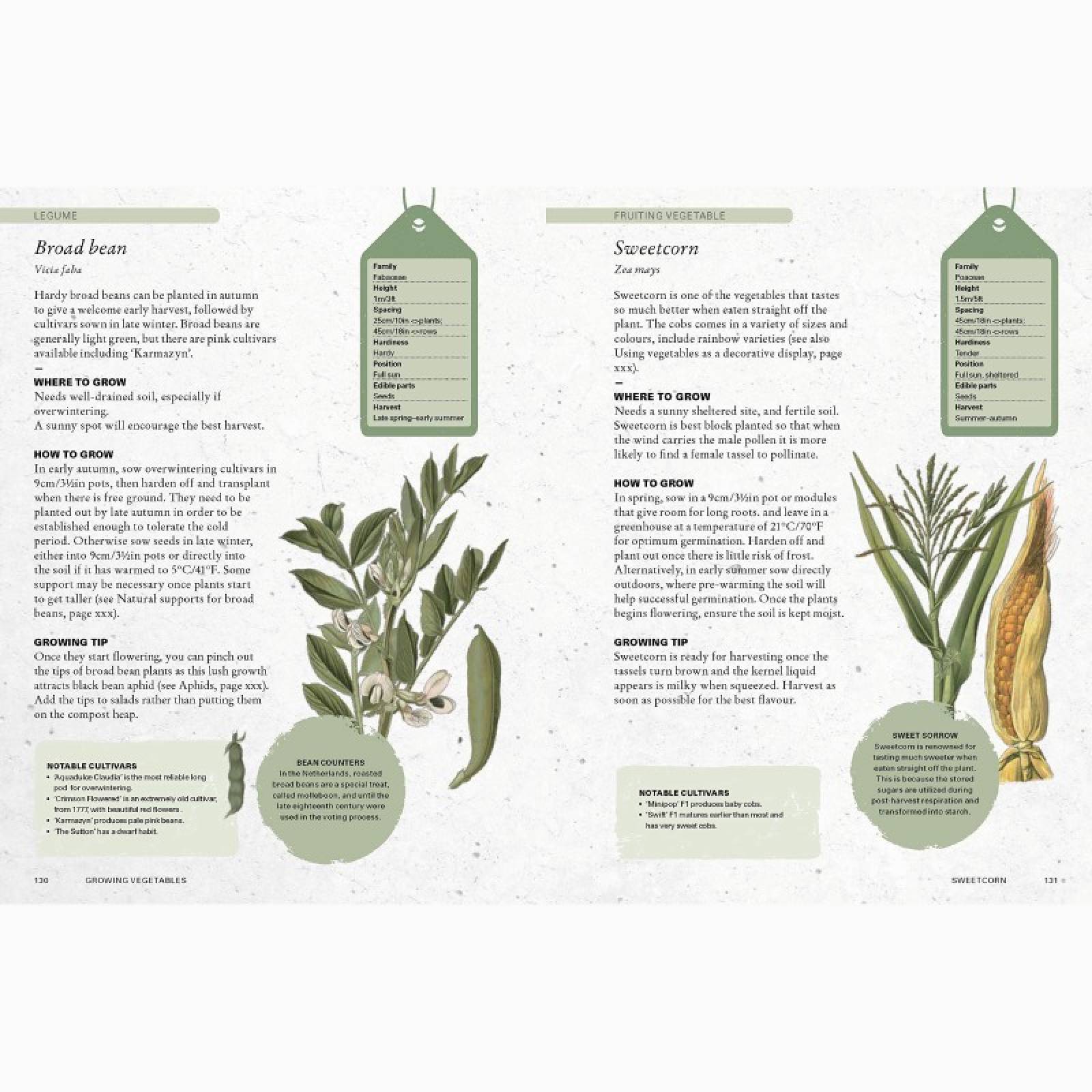 The Kew Gardeners Guide To Growing Vegetables - Hardback Book thumbnails