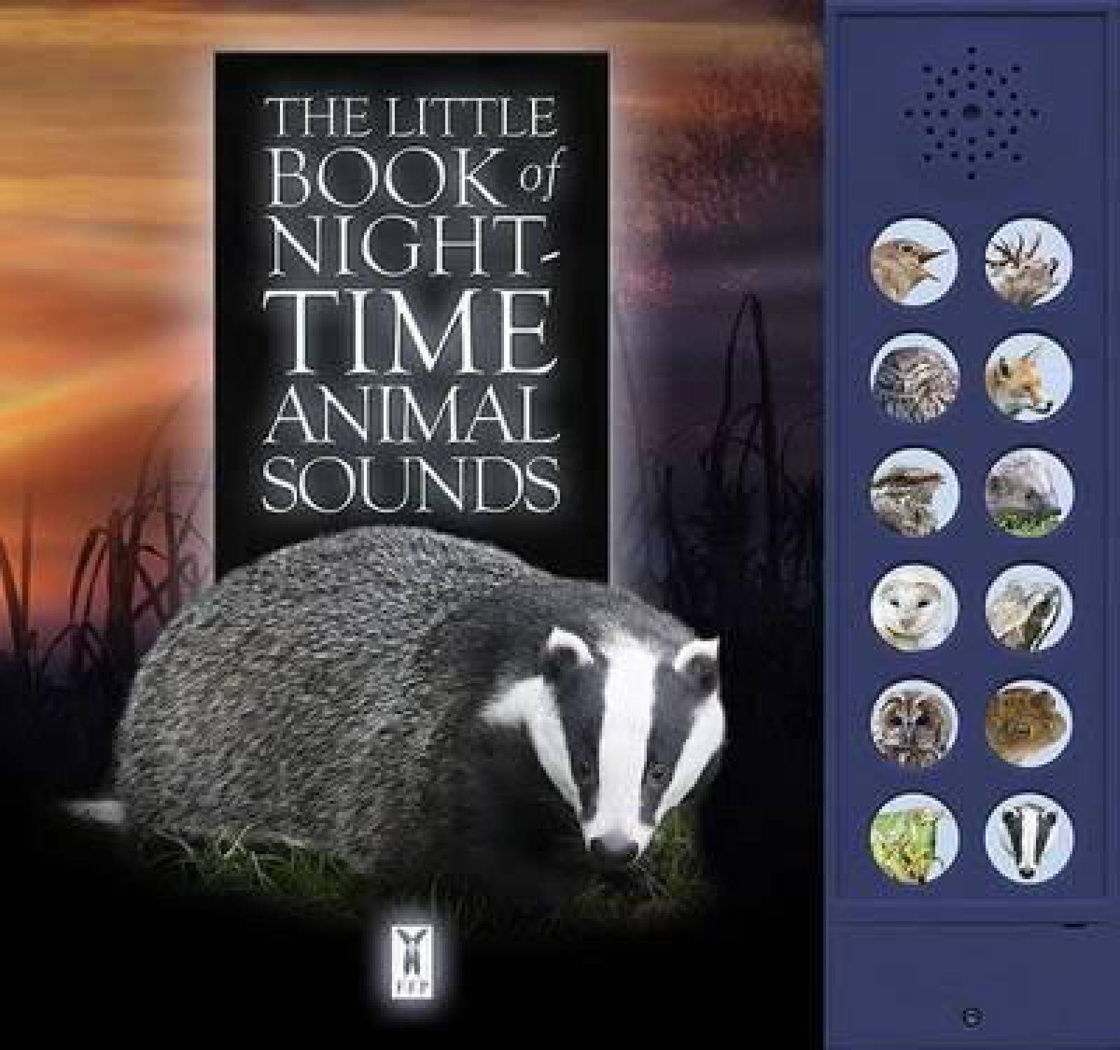The Little Book Of Night-Time Animal Sounds - Sound Book