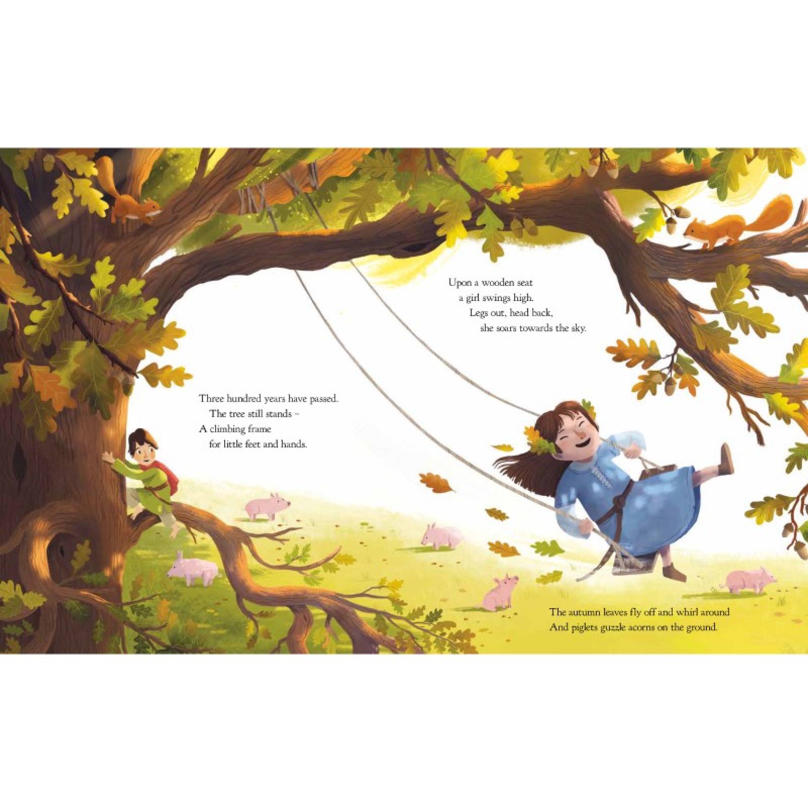 The Oak Tree By Julia Donaldson - Hardback Book thumbnails