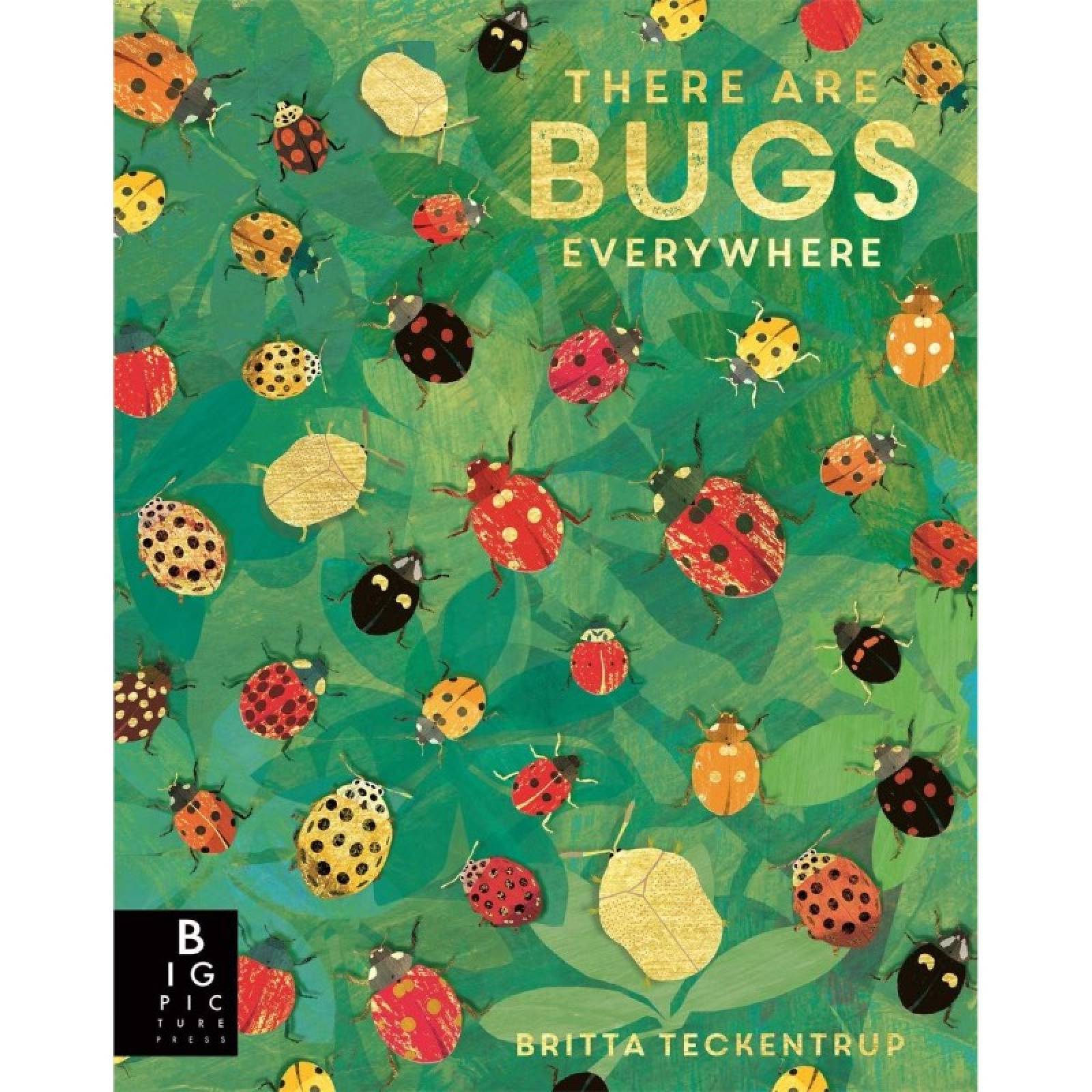 There are Bugs Everywhere - Paperback Book