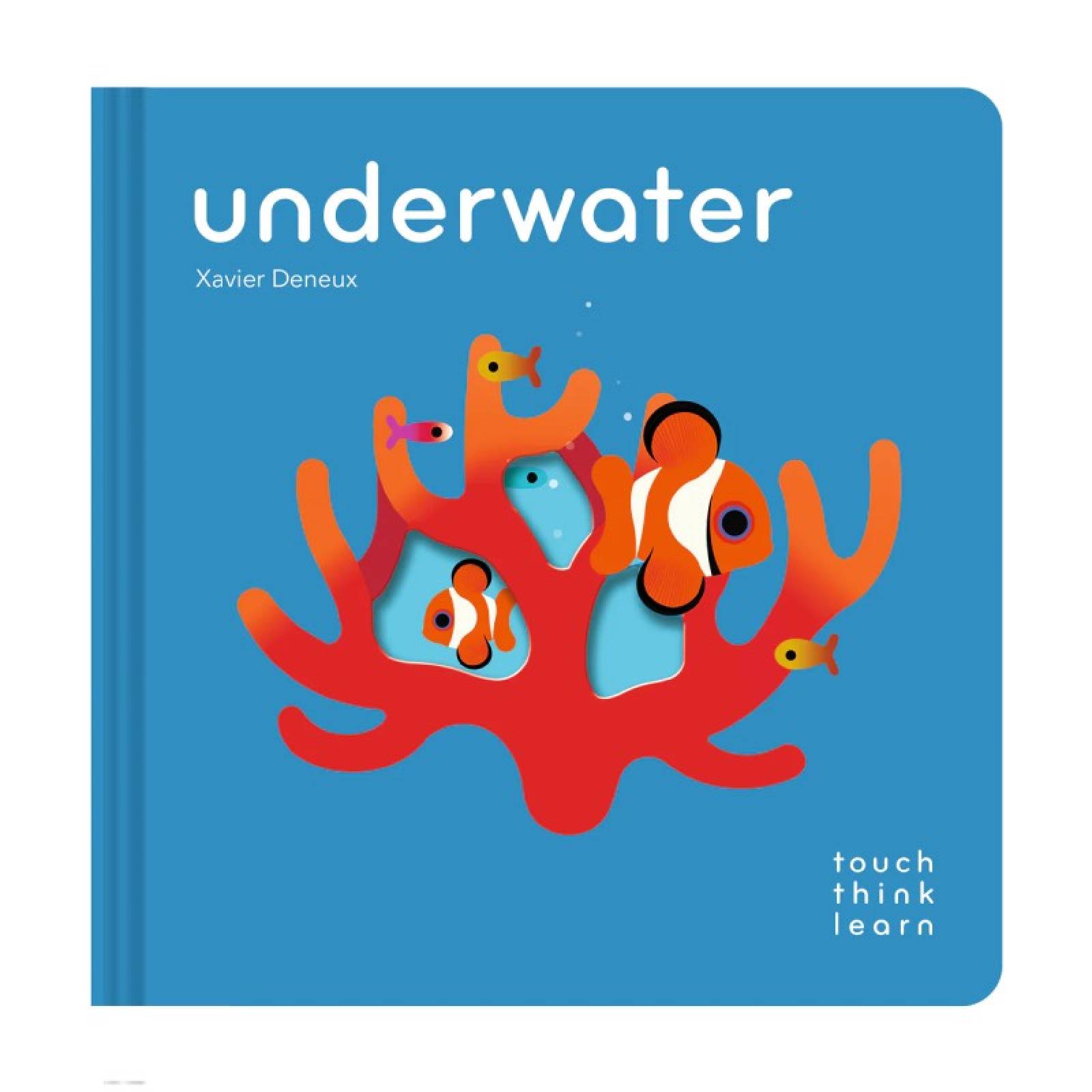 Underwater - Touch Think Learn Board Book