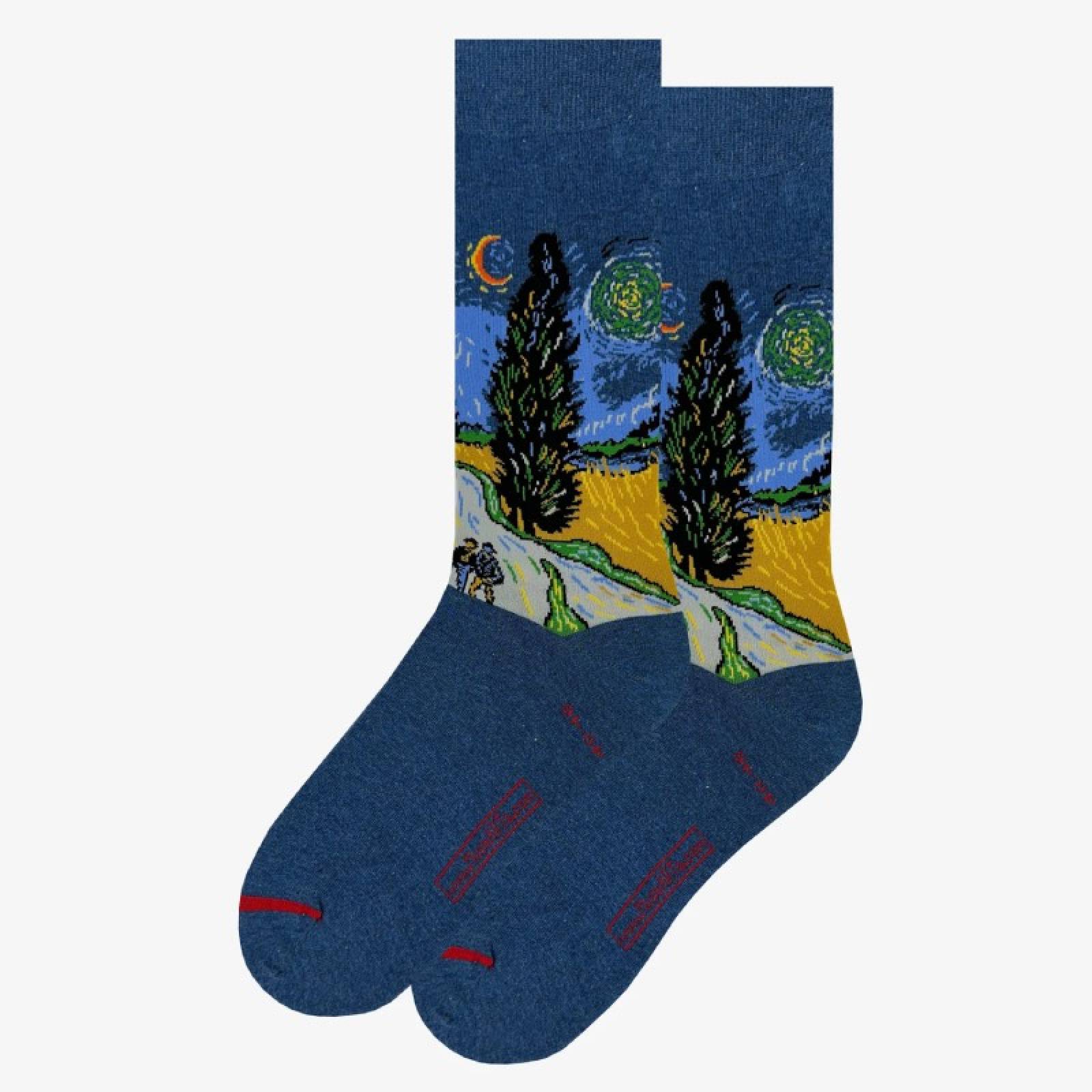 Van Gogh Country Road - Pair Of Cotton Socks