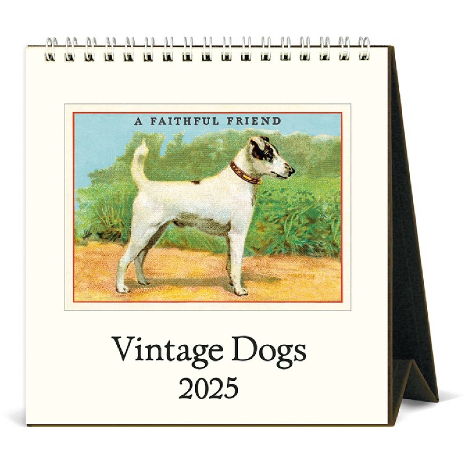 Vintage Dogs Desktop Calendar by Cavallini 2025