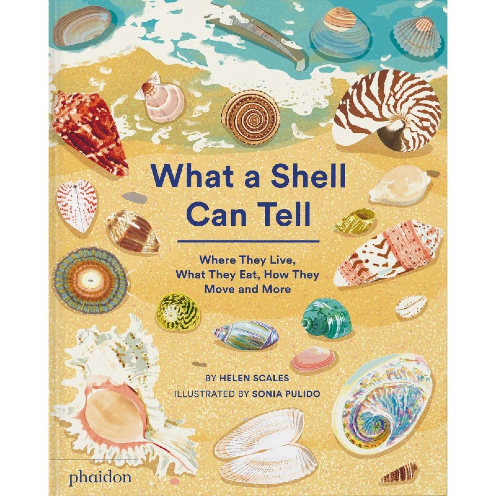 What A Shell Can Tell - Hardback Book