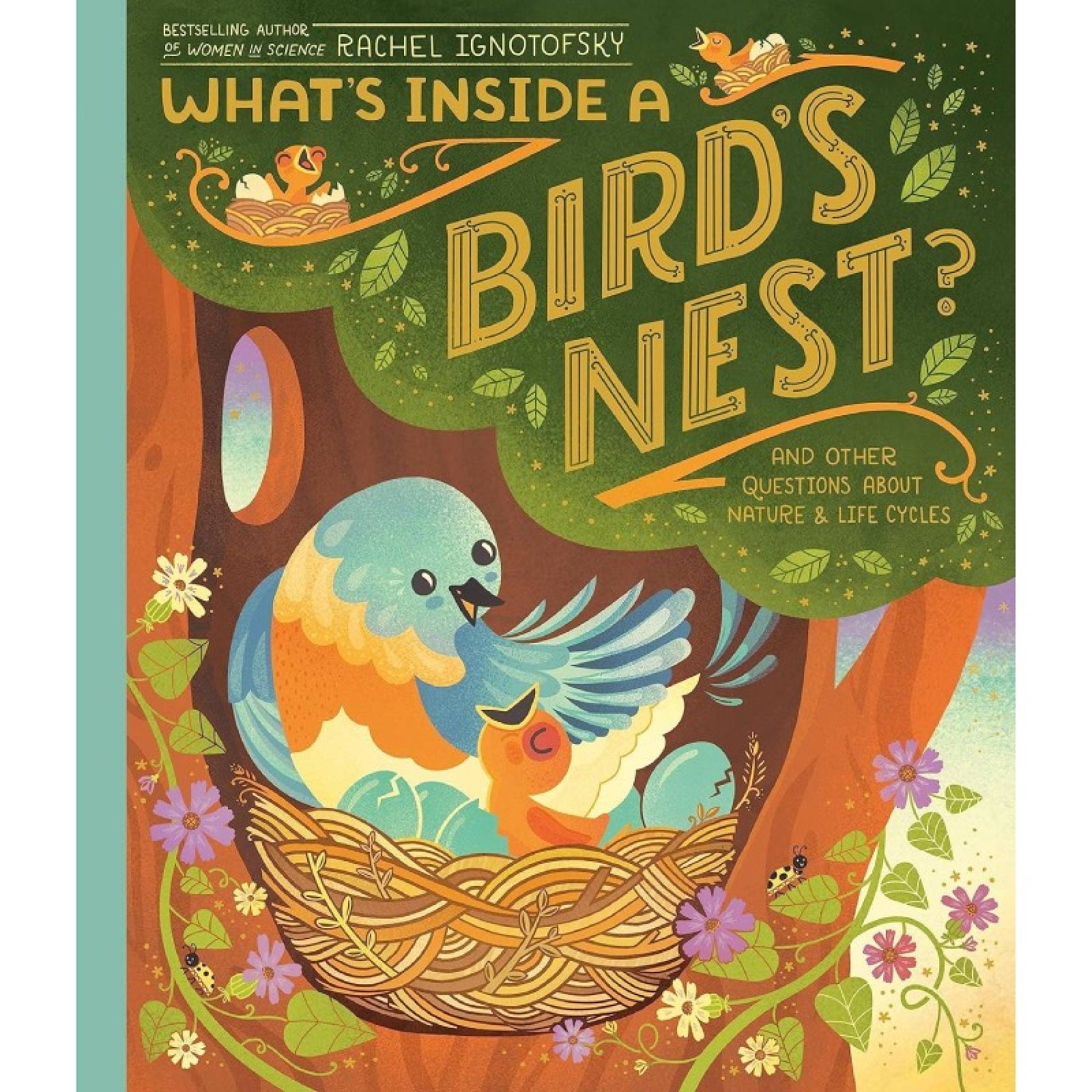 What's Inside A Bird's Nest - Hardback Book