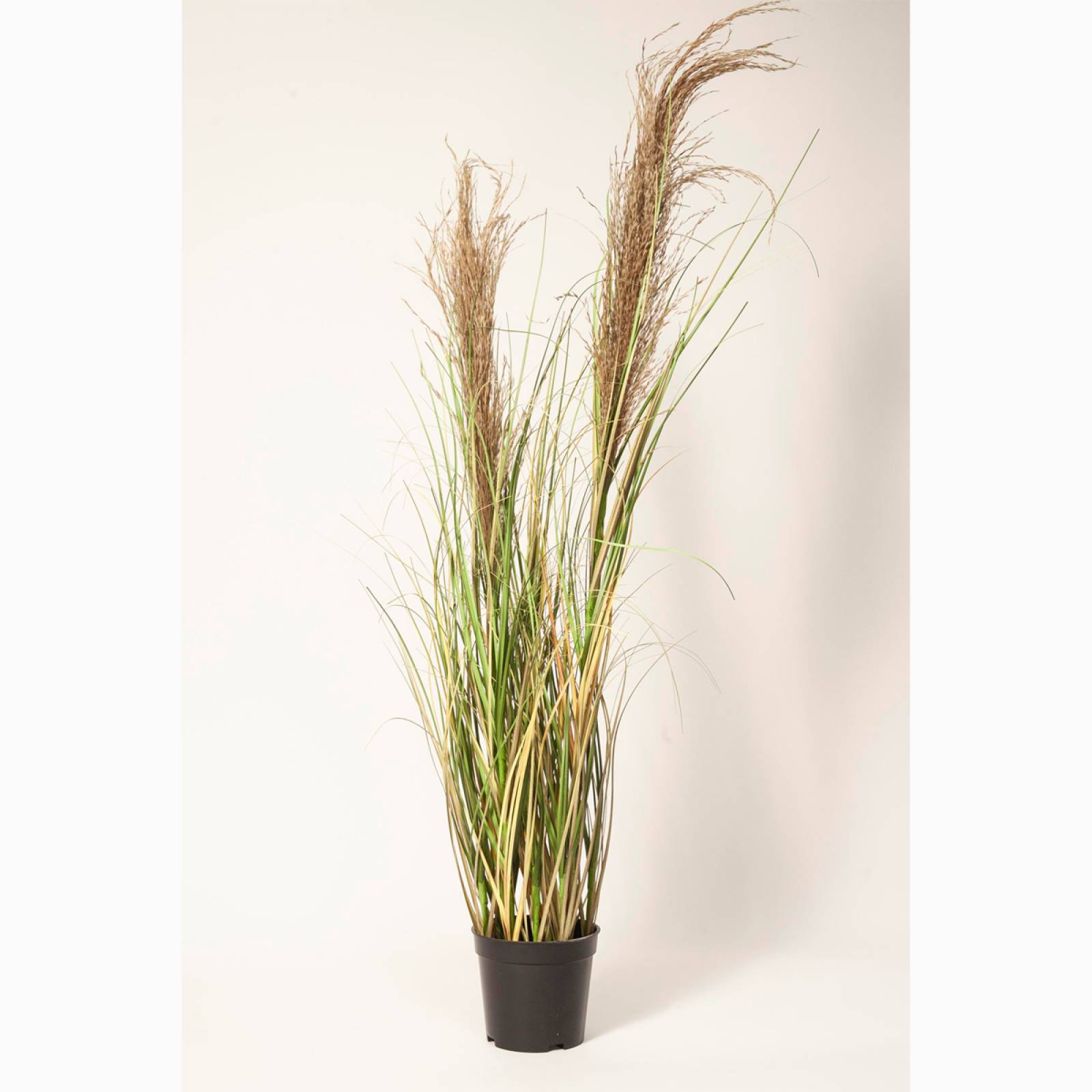 Faux Wheat Plant With Onion Grass In Black Pot H:90cm