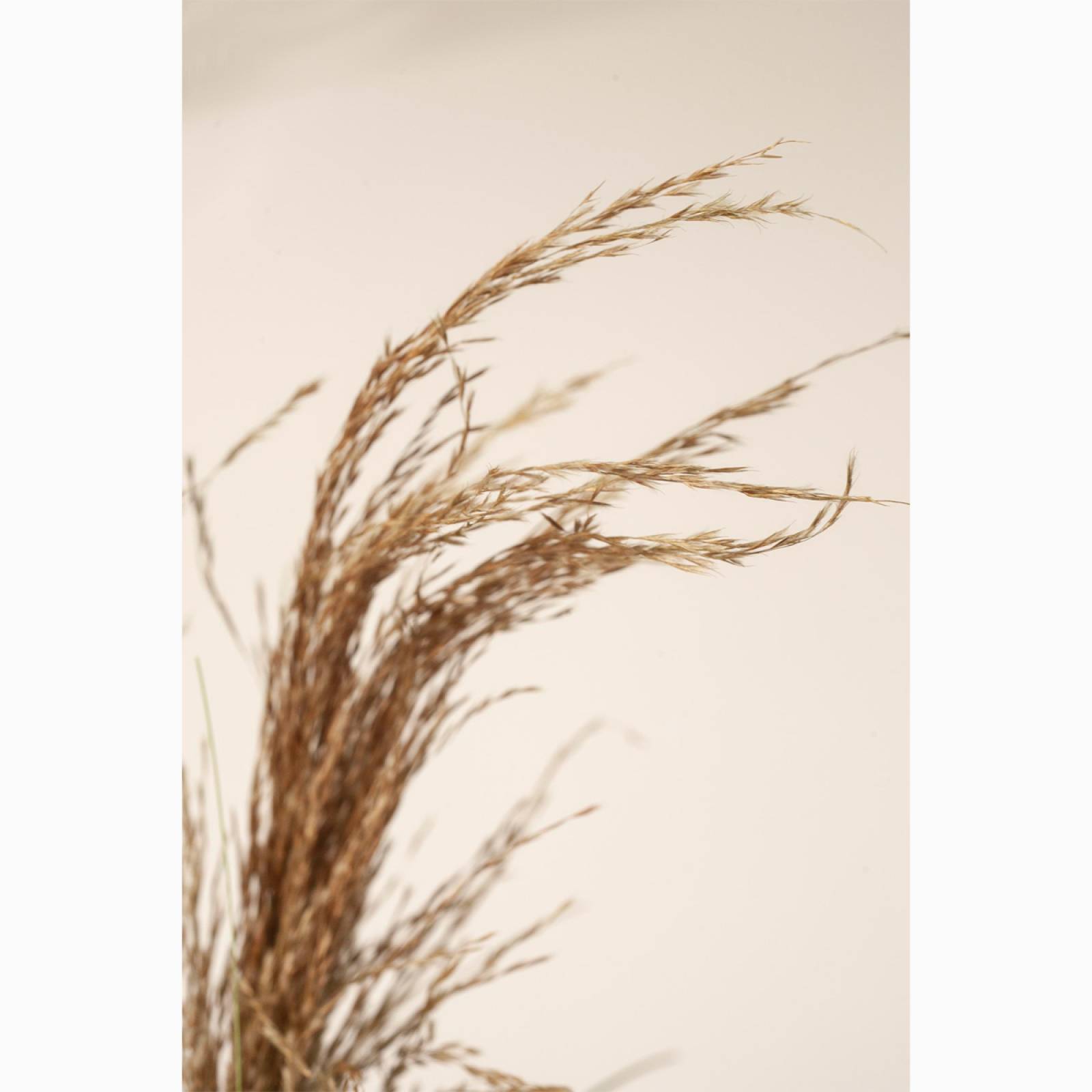 Faux Wheat Plant With Onion Grass In Black Pot H:90cm thumbnails