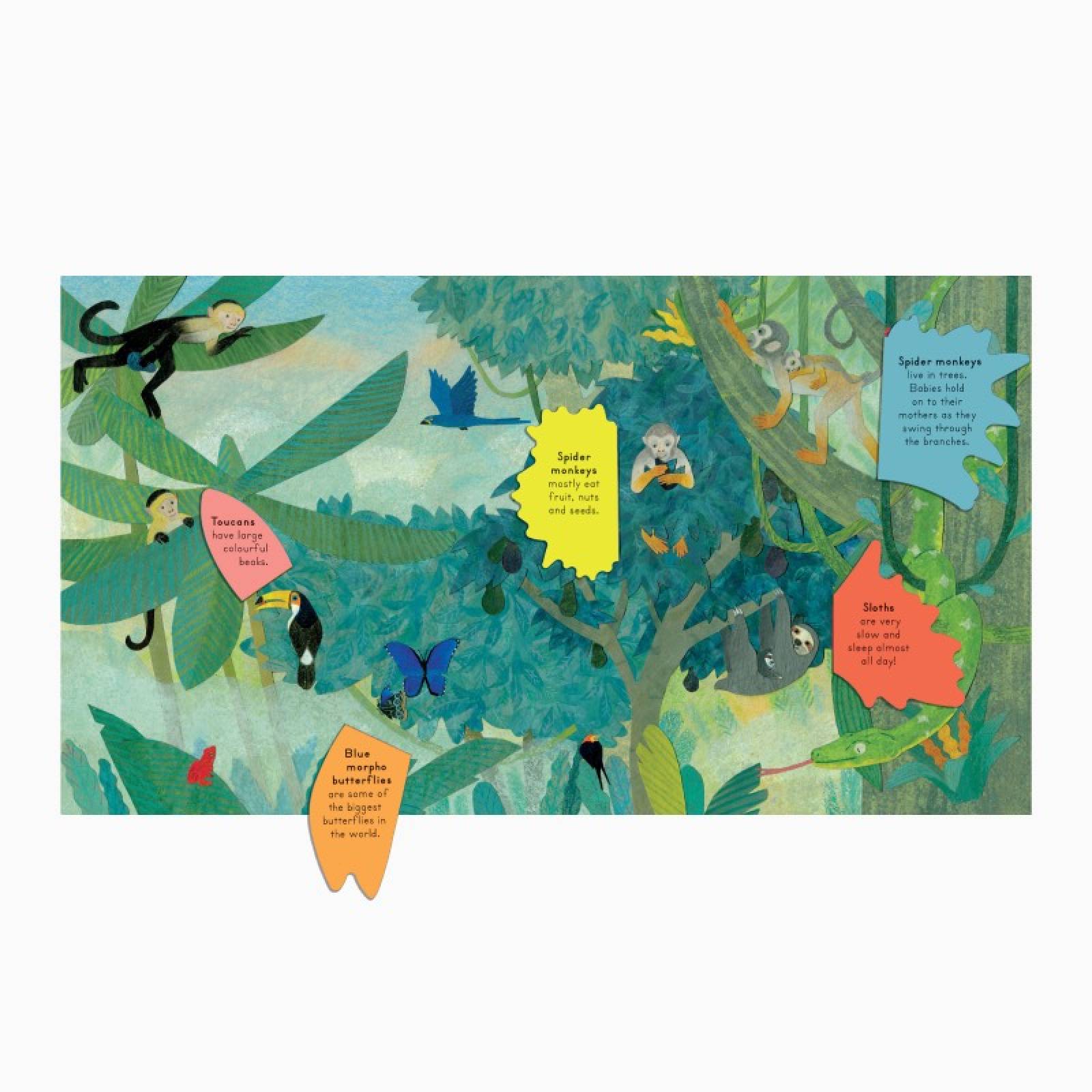 Who's Hiding In The Jungle - Lift The Flap Board Book thumbnails