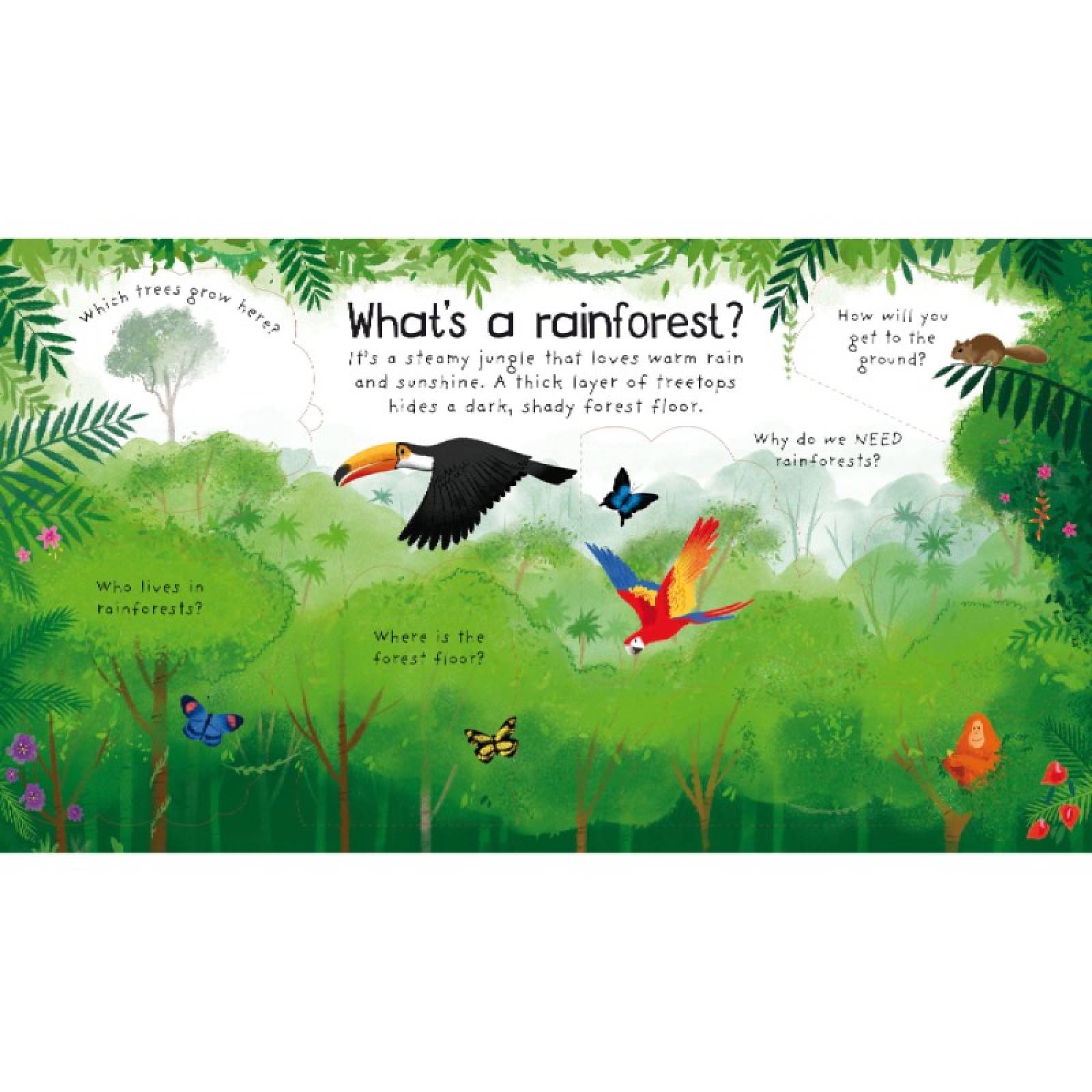 Why Do We Need Trees? - Lift The Flap Board Book thumbnails