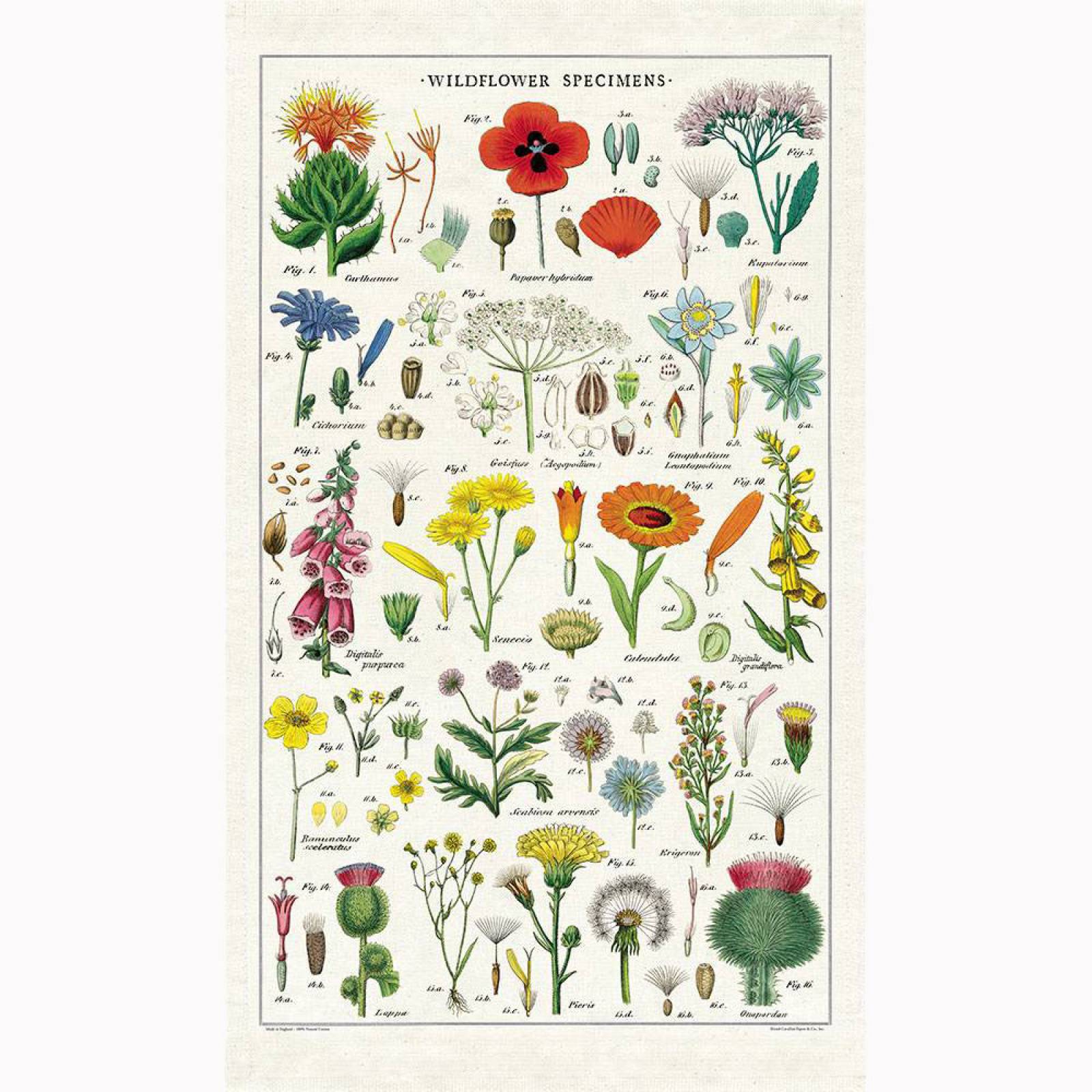 Wildflowers Cotton Tea Towel With Gift Bag
