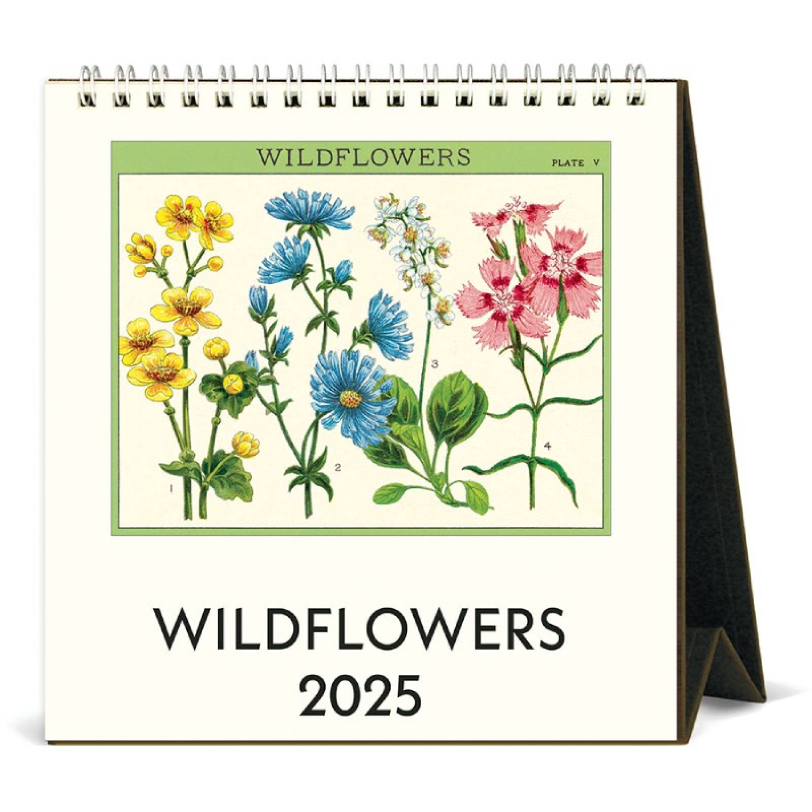 Wildflowers Desktop Calendar by Cavallini 2025