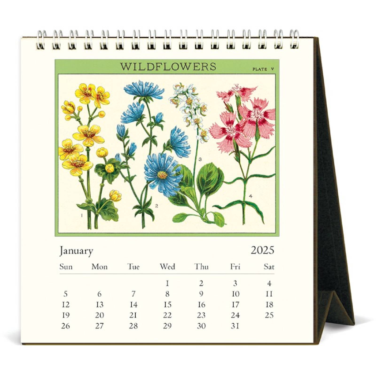 Wildflowers Desktop Calendar by Cavallini 2025 thumbnails