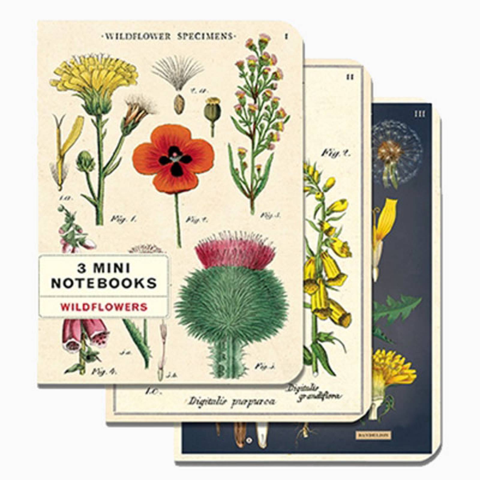 Wildflowers - Set Of 3 Mini Notebooks