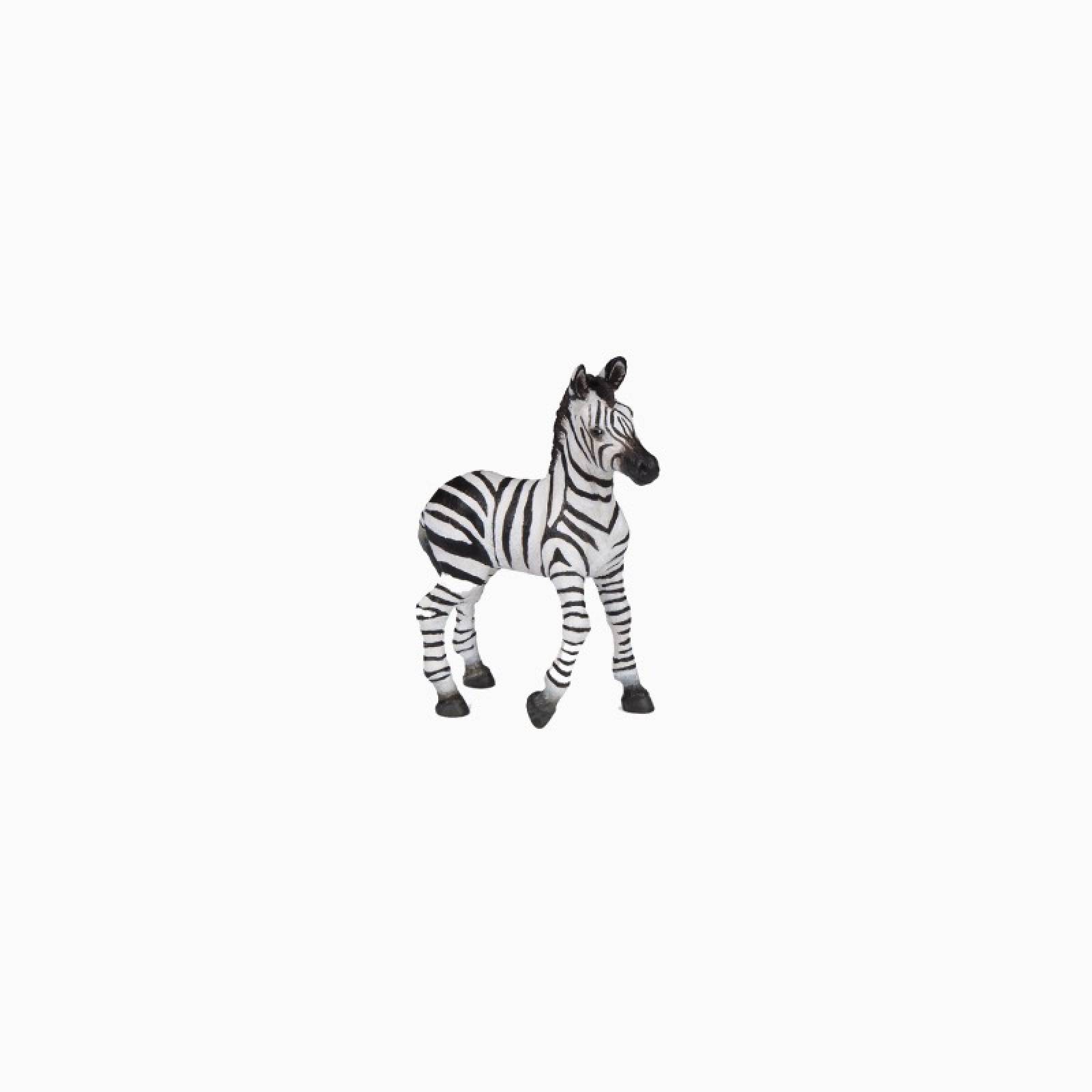 Zebra Foal - Papo Wild Animal Figure