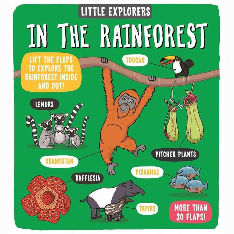 Little Explorers: In The Rainforest - Hardback Book