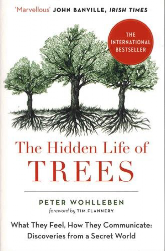 the hidden life of trees author