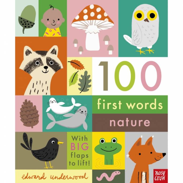 100 First Words: Nature - Lift The Flap Board Book