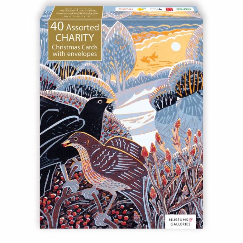 40 Christmas Card Mixed Charity Box By M&G
