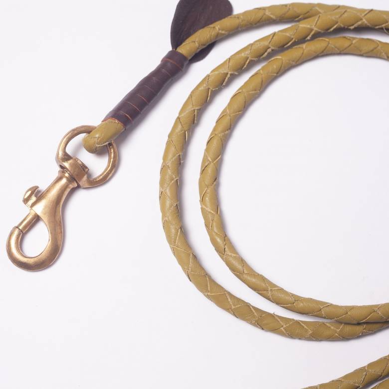 Windsor Leather Dog Lead In Grass