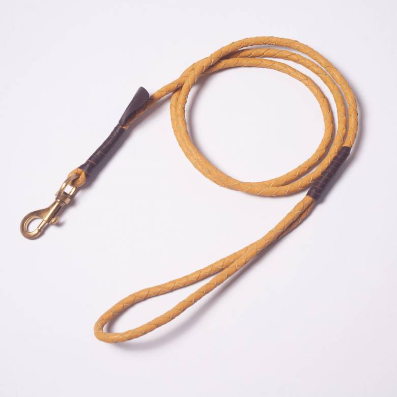 Windsor Leather Dog Lead In Wheat