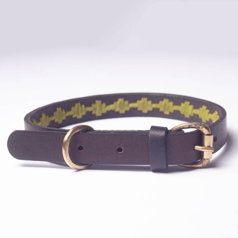 Bark Leather Dog Collar In Grass - Extra Large