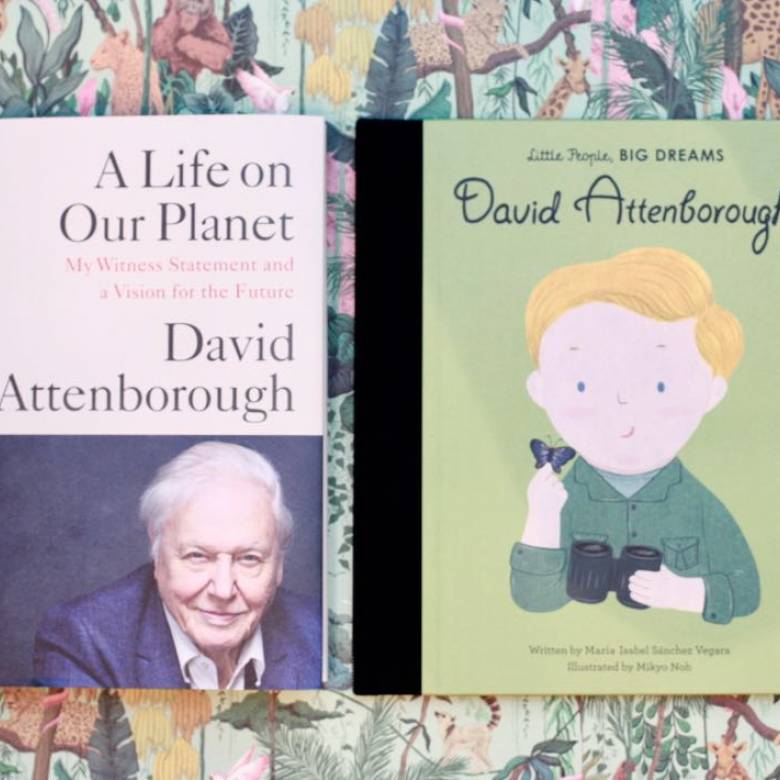 David Attenborough: Little People, Big Dreams - Hardback Book