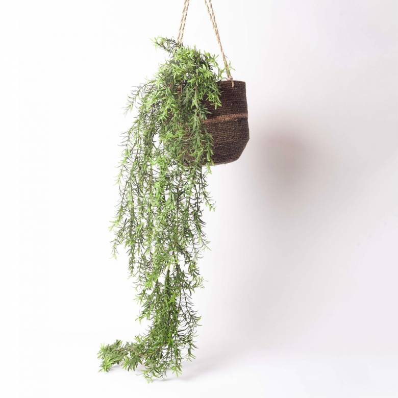 Faux Asparagus Hanging Trailing Plant